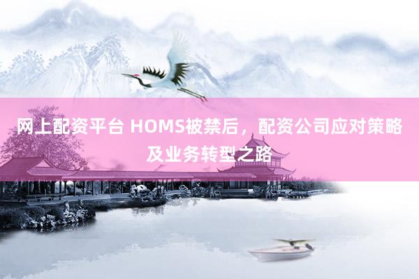 网上配资平台 HOMS被禁后，配资公司应对策略及业务转型之路