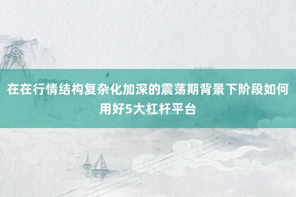 在在行情结构复杂化加深的震荡期背景下阶段如何用好5大杠杆平台