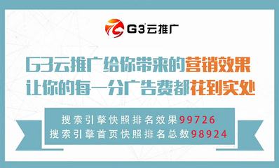 莱芜网络推广_淄博网泰科技_网络推广google推广