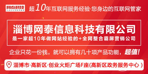 莱州优化推广 淄博网泰科技 周村优化