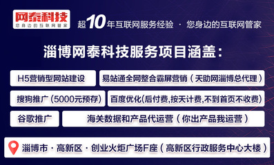 东营做网页的-淄博网泰科技-东营做网页的服务好